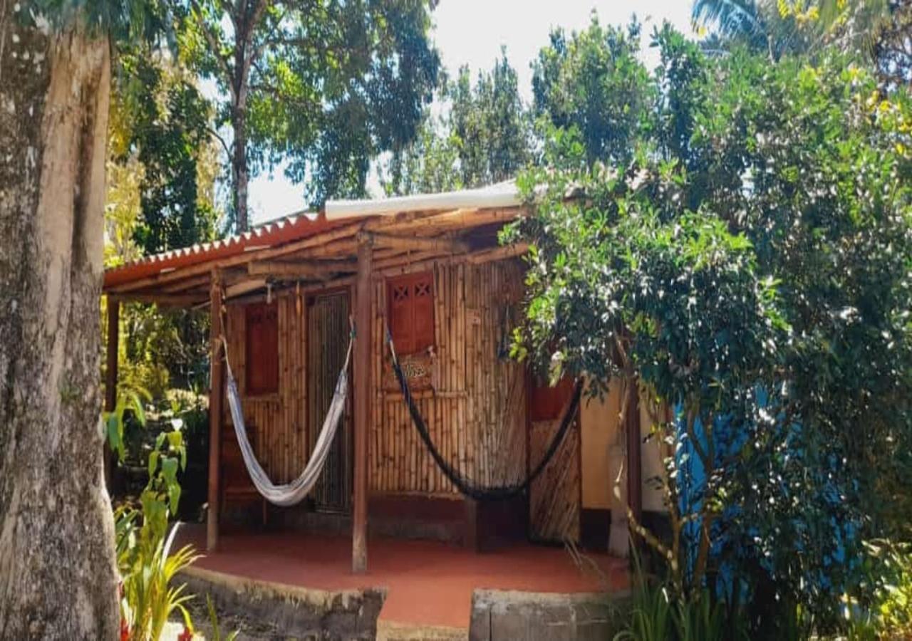 Hostal Familiar El Angel Panama B&B Pajonal Arriba Eksteriør billede