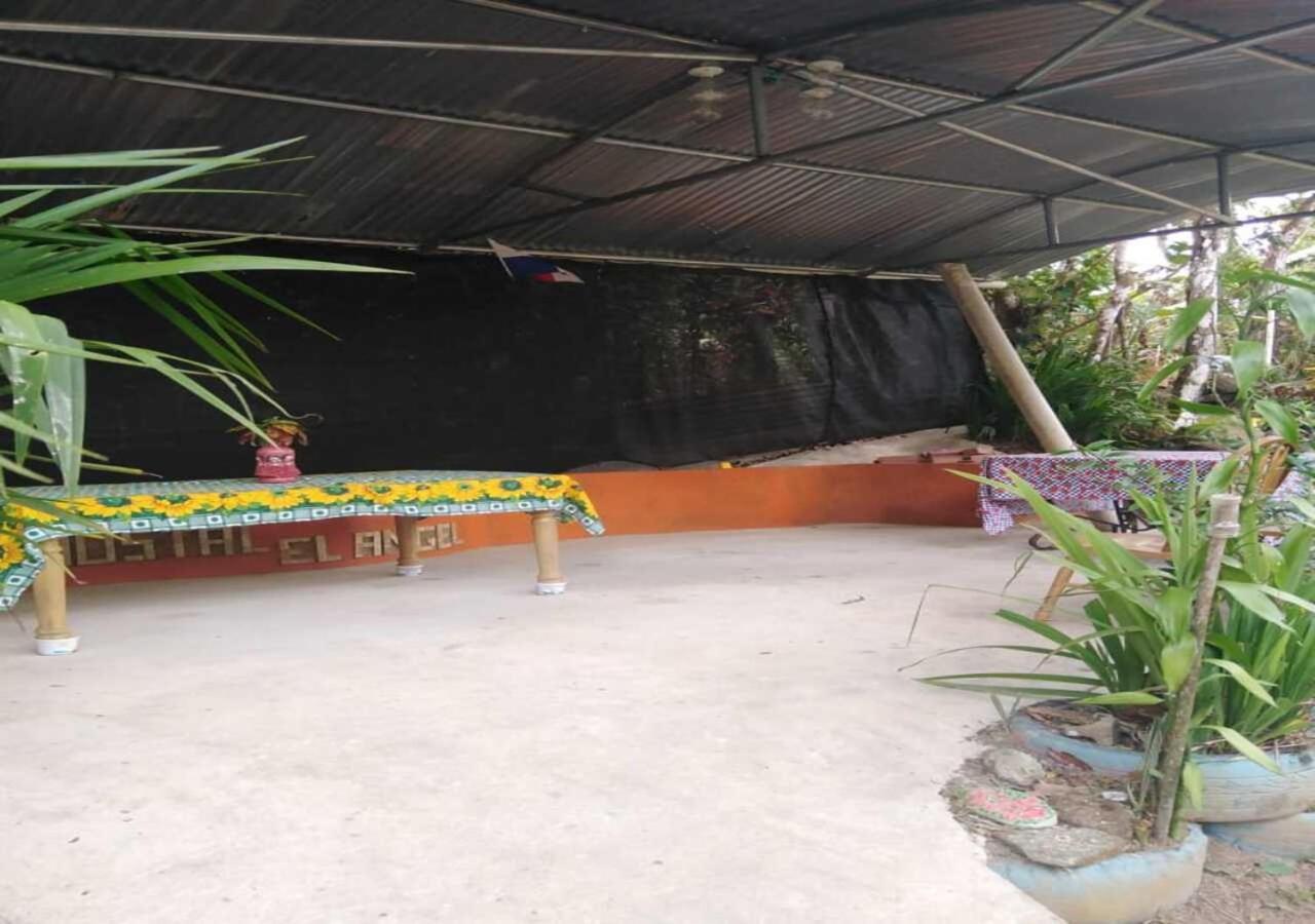 Hostal Familiar El Angel Panama B&B Pajonal Arriba Eksteriør billede