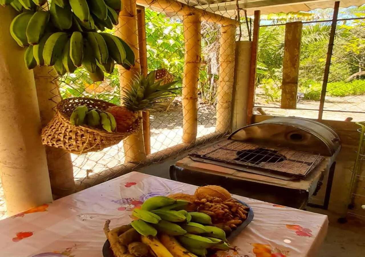 Hostal Familiar El Angel Panama B&B Pajonal Arriba Eksteriør billede