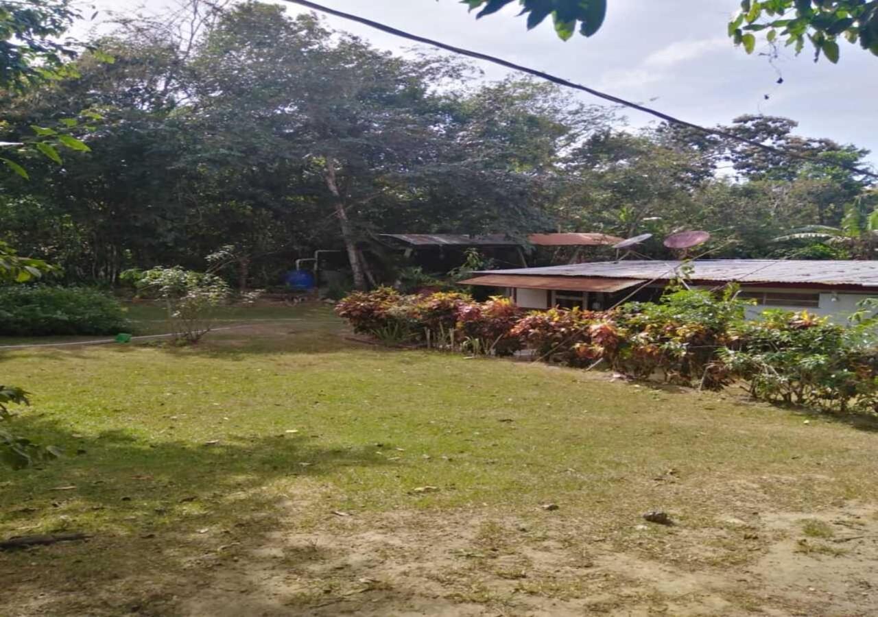 Hostal Familiar El Angel Panama B&B Pajonal Arriba Eksteriør billede