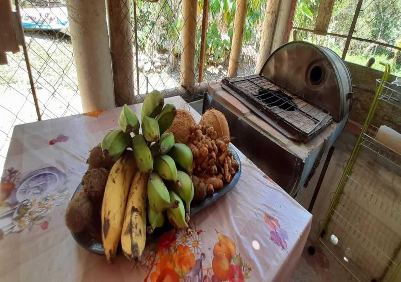 Hostal Familiar El Angel Panama B&B Pajonal Arriba Eksteriør billede