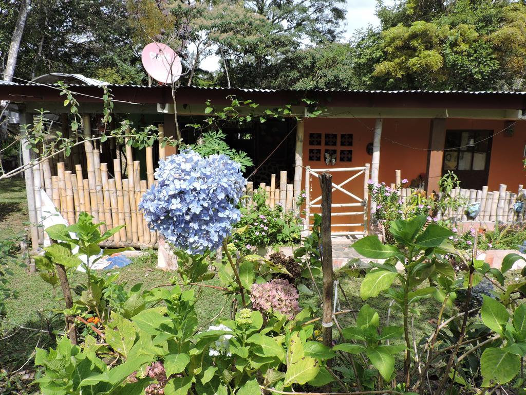 Hostal Familiar El Angel Panama B&B Pajonal Arriba Eksteriør billede