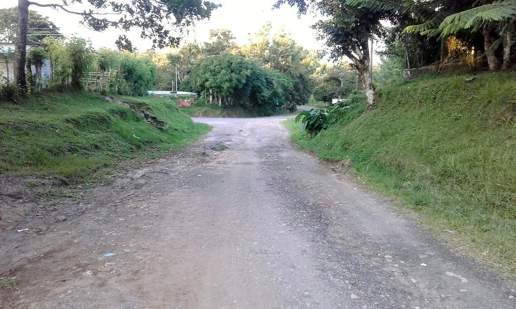 Hostal Familiar El Angel Panama B&B Pajonal Arriba Eksteriør billede