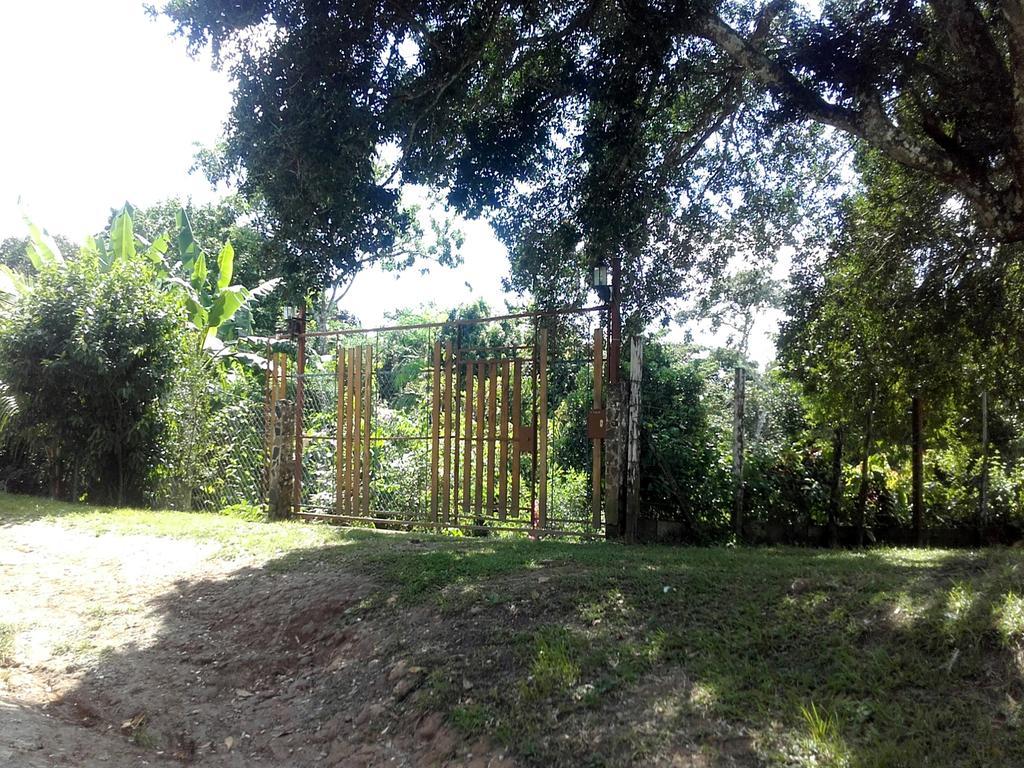 Hostal Familiar El Angel Panama B&B Pajonal Arriba Eksteriør billede