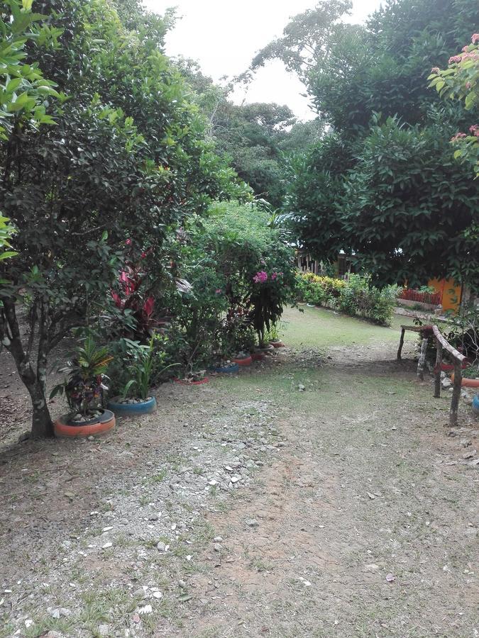 Hostal Familiar El Angel Panama B&B Pajonal Arriba Eksteriør billede
