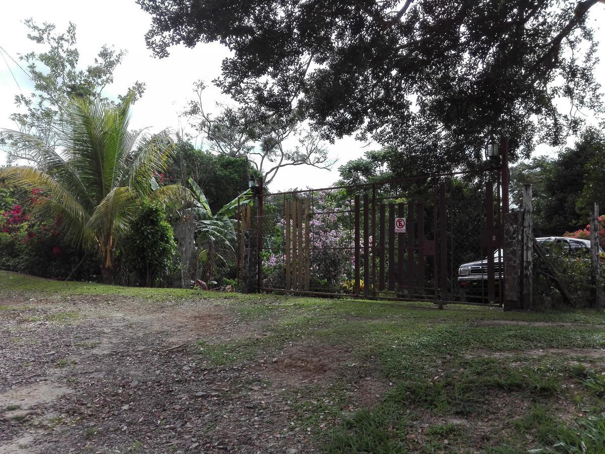 Hostal Familiar El Angel Panama B&B Pajonal Arriba Eksteriør billede